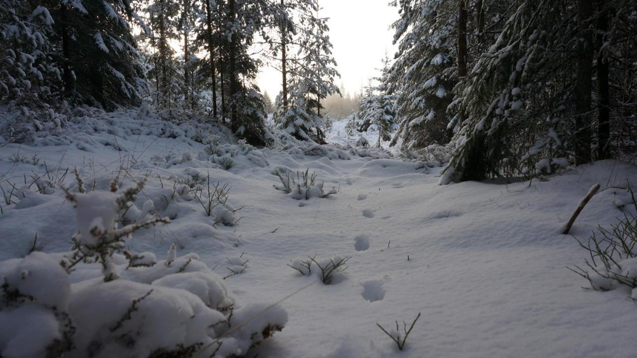 Bjoernvalsfallet Deje Buitenkant foto
